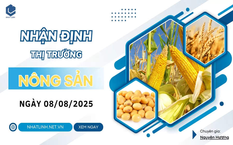 NHẬN ĐỊNH: NHÓM NÔNG SẢN NGÀY 08/08/2025